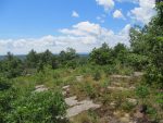 CGFS070212RBUR-FORT ANN, NY2