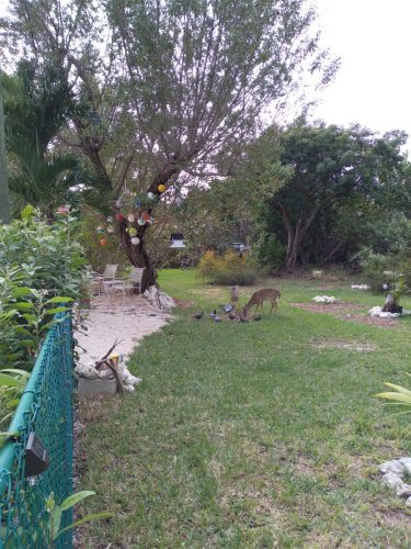 FL-KEYSLFS071326HG3