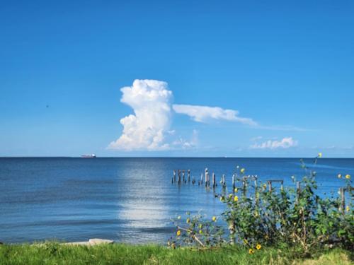 Ship-on-Houston-Ship-Channel-Headed-toward-Port